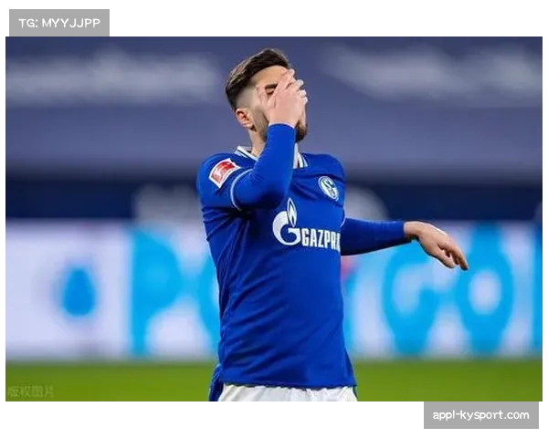 沙尔克04租借美因茨中场陶尔,为期一个半赛季