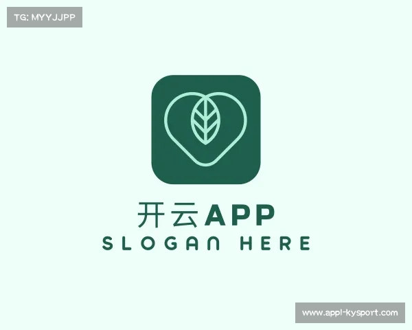 解读开云app